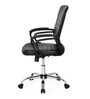 Aries Mid Back Executive Chair in Black Colour