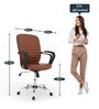 Aries Leatherette Executive Chair in Brown Colour