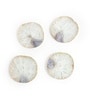 Arista Agate Coaster Set Of 4