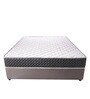 Aristo 6 inch Bonnell Spring Single Mattress (with 1 Free Pillow)