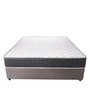 Aristo 8 inch Bonnell Spring King Size Mattress (with 2 Free Pillows)