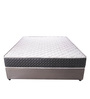 Aristo 8 inch Bonnell Spring Single Mattress (with 1 Free Pillow)