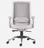 Aristo Ergonomic Chair In Grey Finish