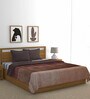 Brown Solid Polyester 300 GSM Double Bed Blanket