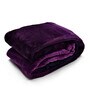 Purple Polyester Solid Single Bed AC Room
Blanket Arliss Gradation
Collection