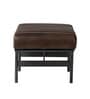 Armand Bench In Dark Brown Color