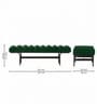 Armand Bench In Green Color