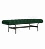 Armand Bench In Green Color