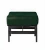 Armand Bench In Green Color