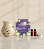 Set Of 4 Cream Ceramic  Aroma Oil, Tea Light With Burner Set For Gifting
