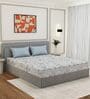 Beige Abstract 180 TC Polyester Double Size Bedsheet With 2 Pillow Covers