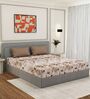 Brown Abstract 180 TC Polyester Double Size Bedsheet With 2 Pillow Covers