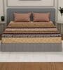Brown Abstract 180 TC Polyester Double Size Bedsheet With 2 Pillow Covers