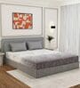 Grey Floral 180 TC Polyester Double Size Bedsheet With 2 Pillow Covers