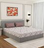 Peach Floral 180 TC Polyester Double Size Bedsheet With 2 Pillow Covers
