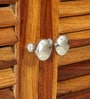 Arrata Solid Wood Shoe Cabinet In Natural Teak Finish