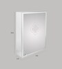 Stainless Steel Silver 3 Compartment Single Door Bathroom Cabinet (L: 13, W: 4, H: 18 Inches)
