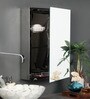 Stainless Steel Silver 3 Compartment Single Door Bathroom Cabinet With Mirror (L: 16, W: 5, H: 22 Inches)