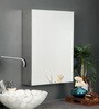 Stainless Steel Silver 3 Compartment Single Door Bathroom Cabinet With Mirror (L: 16, W: 5, H: 22 Inches)
