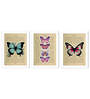 Art Street Dictionary ArtPrint of Butterfly Theme Wall Hanging For Home Decor
