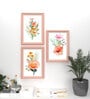 Art Street Set of 3 Peach & Yellow Floral Pink Framed Art Prints for Wall D cor