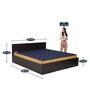 Arthur King Size Bed in Wenge Finish with Box Storage