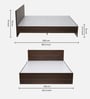 Arthur Queen Size Bed in Walnut Finish