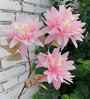 Set Of 2 Pink Plastic 2 Sticks Dahlia Artificial Flowers