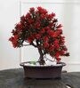 Artificial 3 Branched Tree with Red Leaves and Pot
