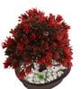 Artificial 3 Branched Tree with Red Leaves and Pot