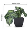 Artificial Arrowhead Plant in Black Pot