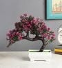 Plastic Artificial Bent Bonsai Tree With Magenta Leaves With Pot Artificial Plants