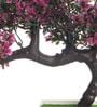 Plastic Artificial Bent Bonsai Tree With Magenta Leaves With Pot Artificial Plants