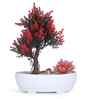 Artificial Bonsai Tree with Red Cactus