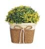 Plastic Artificial Bush With Small Yellow Leaves With Pot Artificial Plants