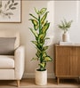 Green Fabric Artificial Caladium Plant with Pot