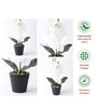 White Artificial Decorative Flower
