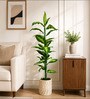Green Fabric Artificial Dieffenbachia Plant with Pot