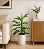 Green Fabric Artificial Dieffenbachia Plant with Pot