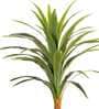 Artificial Dracaena Plant (Green)