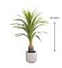 Artificial Dracaena Plant (Green)