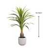 Artificial Dracaena Plant (Green)