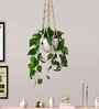 Set Of 4 Green Plastic Vine Plant Leaves Artificial Plants