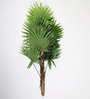 Green Artificial Fan Palm Plant without Pot