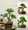 Green Fabric Artificial Ficus Bonsai Tree with Pot