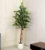 Ficus Artificial Plant
