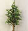 Ficus Artificial Plant