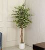 Ficus Artificial Plant