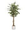 Ficus Artificial Plant