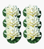 Set Of 6 White Plastic Floating Foam Lotus Artificial Flowers